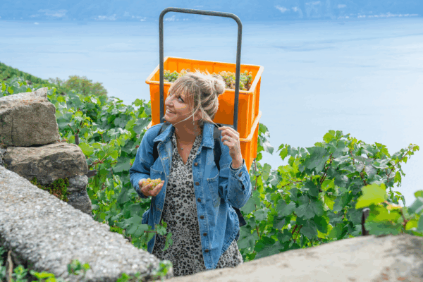 Journée portes ouvertes au domaine